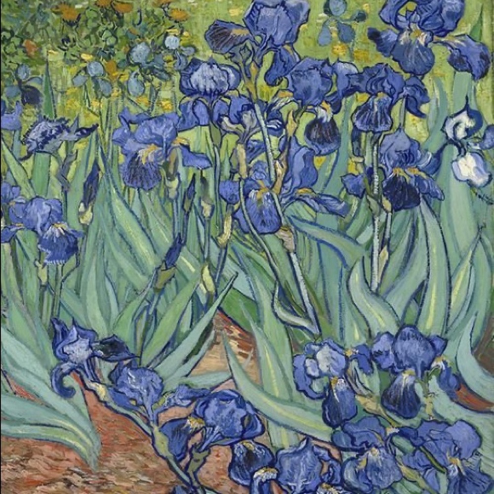 Meet your Posher, Maurice